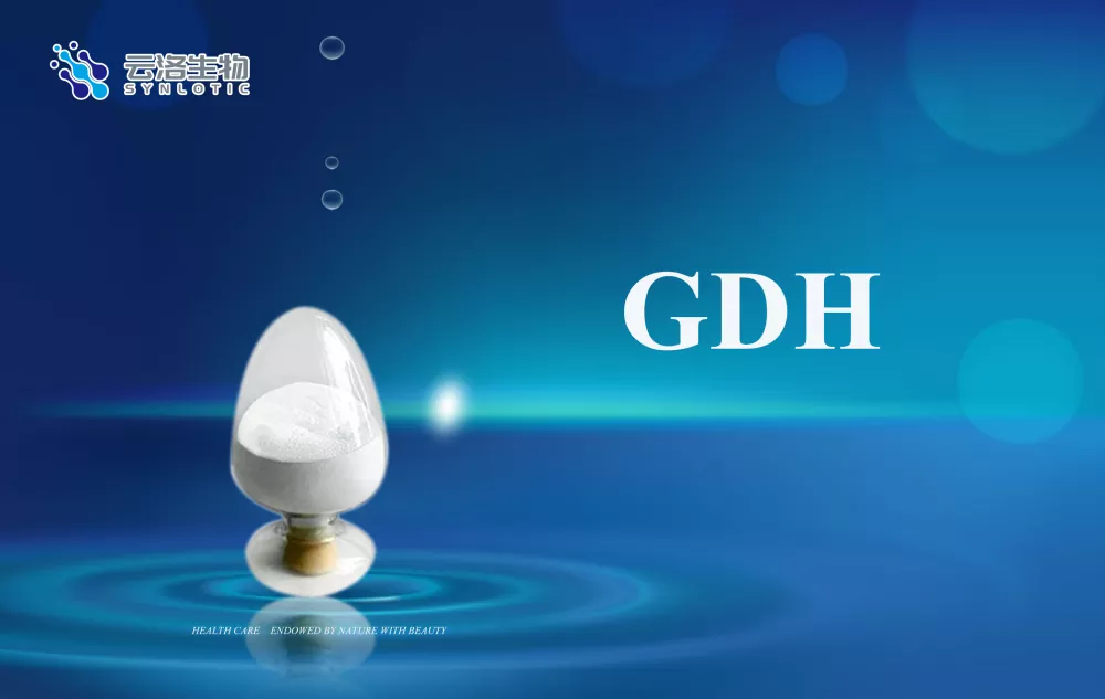 Millised on ensüümide põhimõisted?