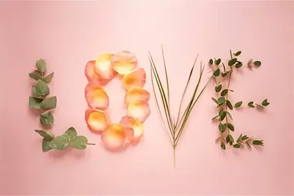 520 ülestunnistuse hooaeg丨Kas olete valmis tunnistama