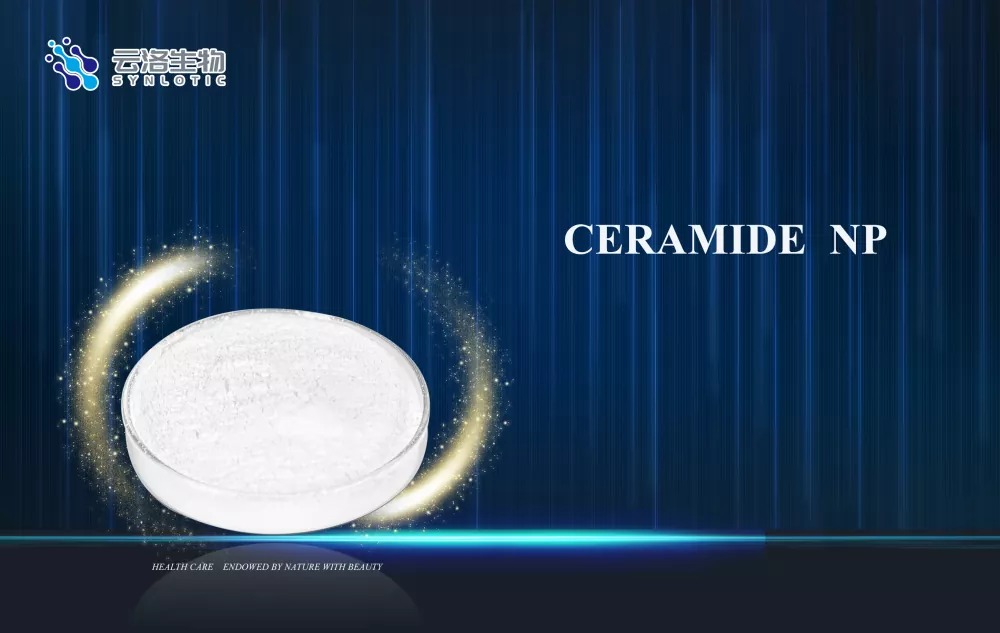 Kuidas Ceramide NP toetab naha barjäärihooldust kaasaegses kosmeetikas?
